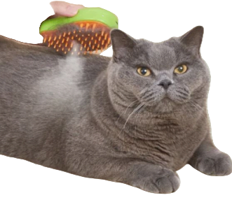 Cepillo Mascotas con vaporizador